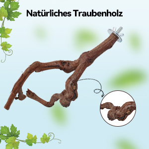 wellensittich spielplatz