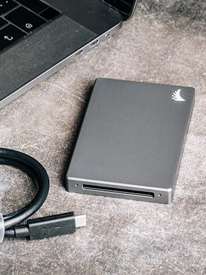 Angelbird CFast 2.0 Card Reader : Amazon.ca: Electronics