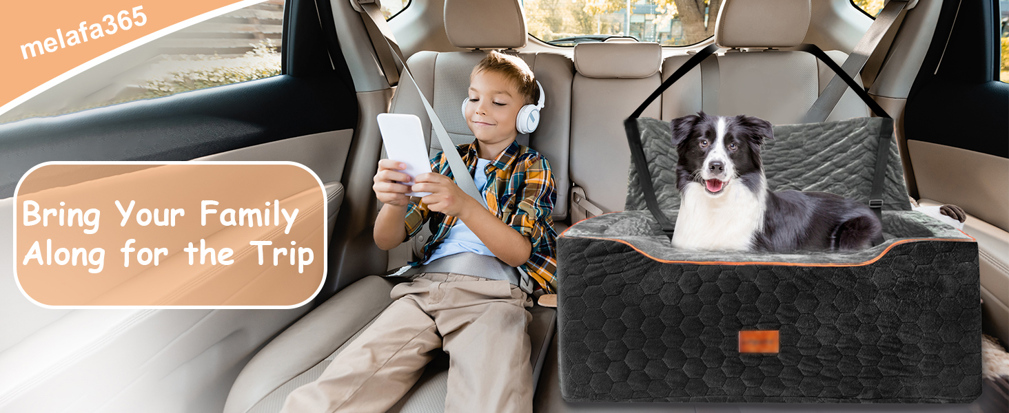 dog car seat