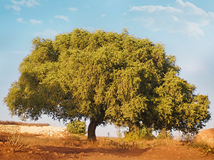 Small manufacture image 4