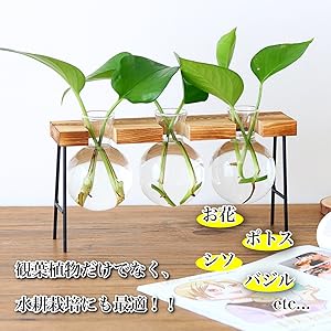 Amazon.co.jp: EU SOU 一輪挿し フラスコ 花瓶 ガラス 木製