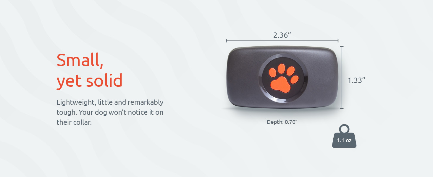 PitPat Dimensions