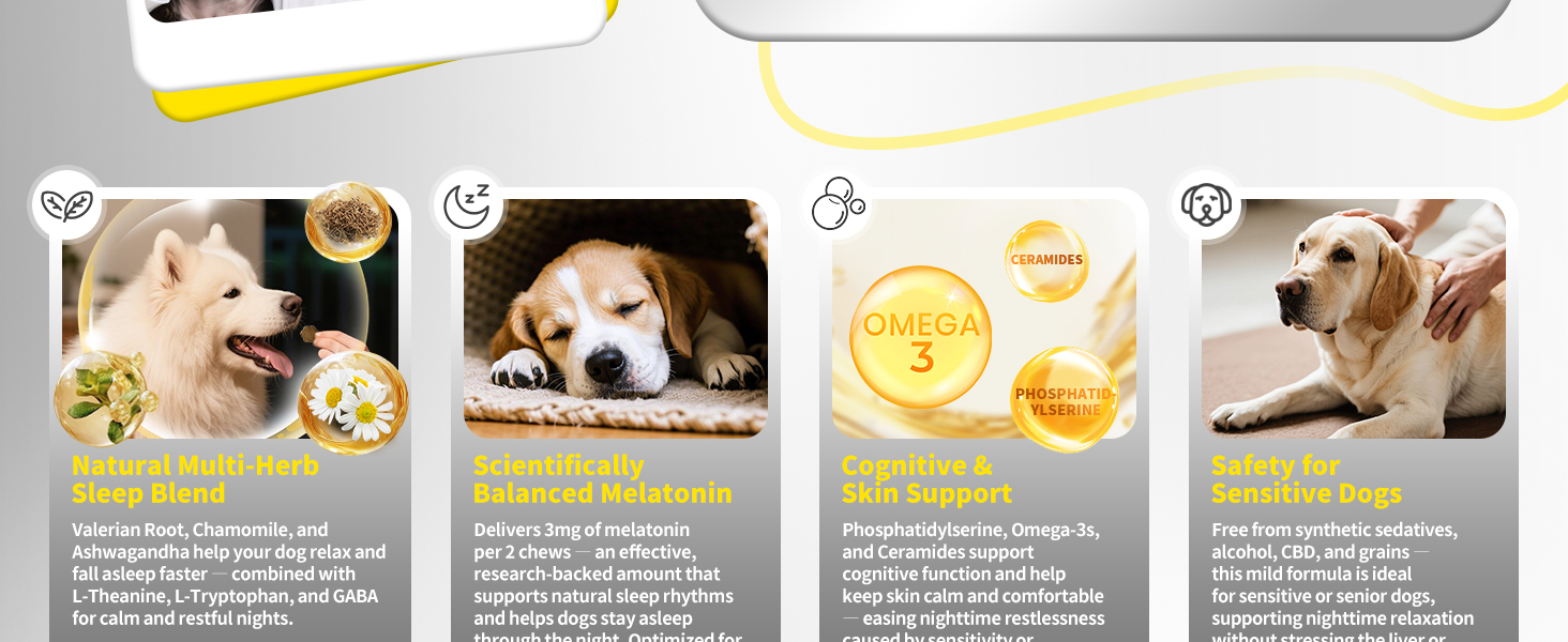 melatonin for dog