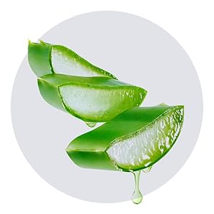 Aloe