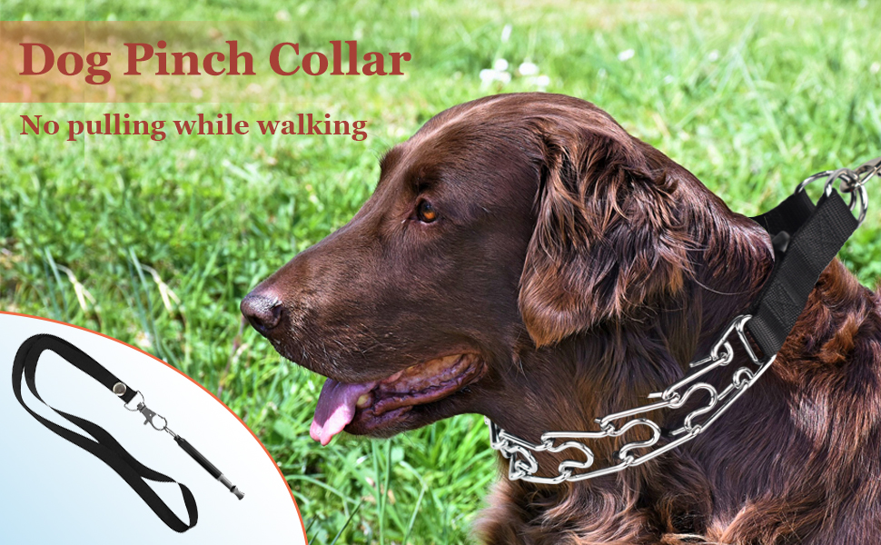 Dog Prong Traing Collar, ivienx Choke Pinch Collar for