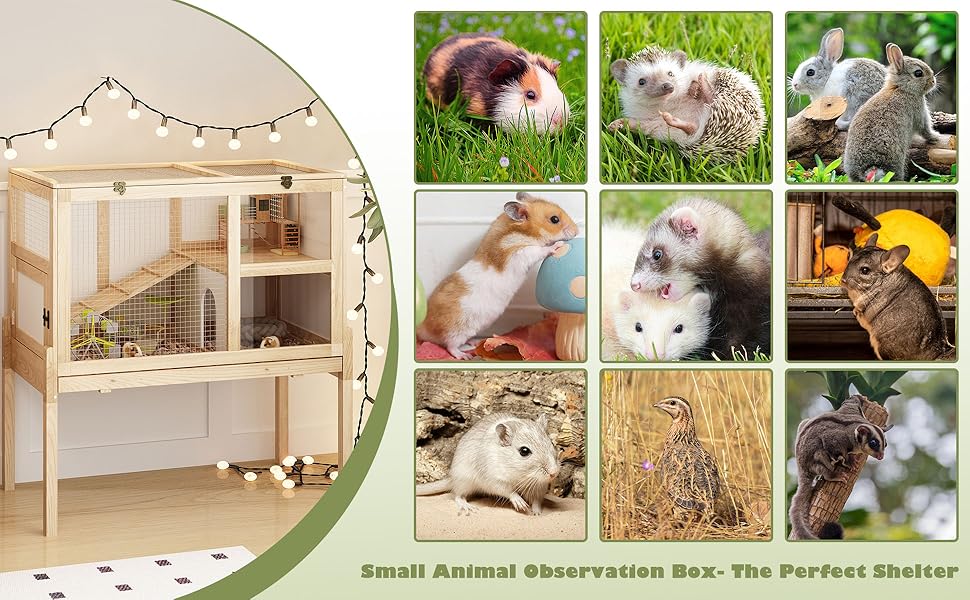 Small Animal Cage