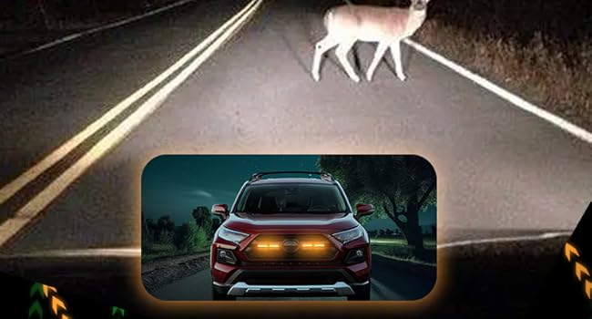 Large manufacture image 4