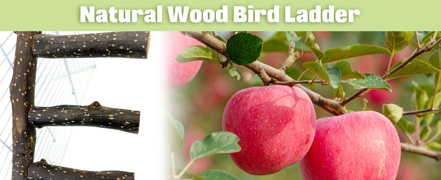 Natural fruit wood, unique design. Helps parrots easily walk, jump on frame