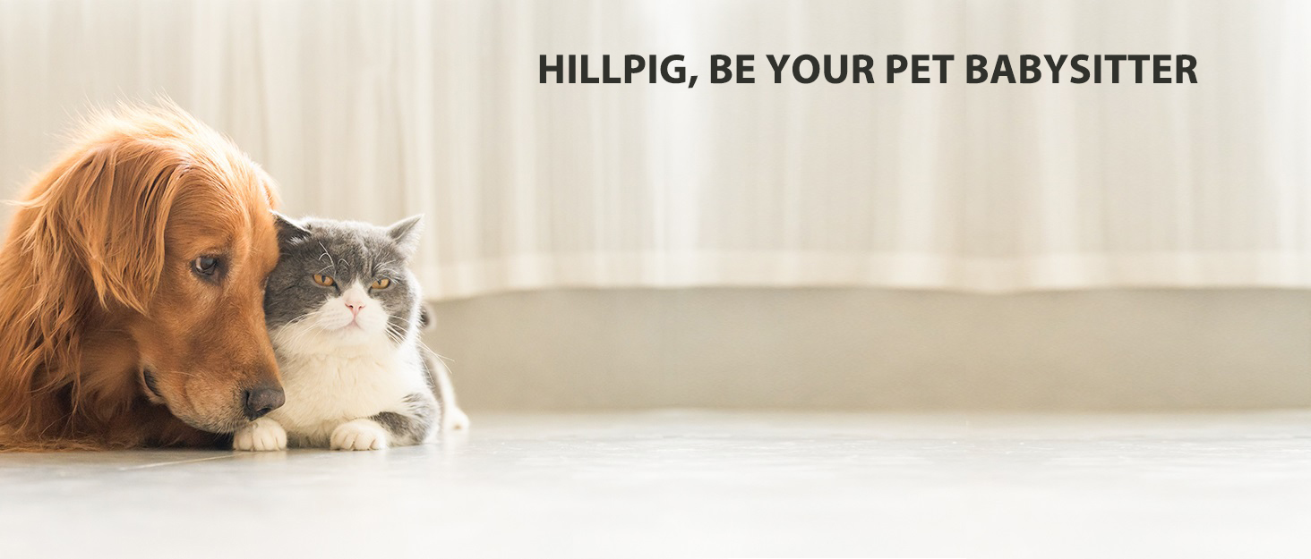 Hillpig SelfCleaning Cat Litter Box Extra Large Automatic