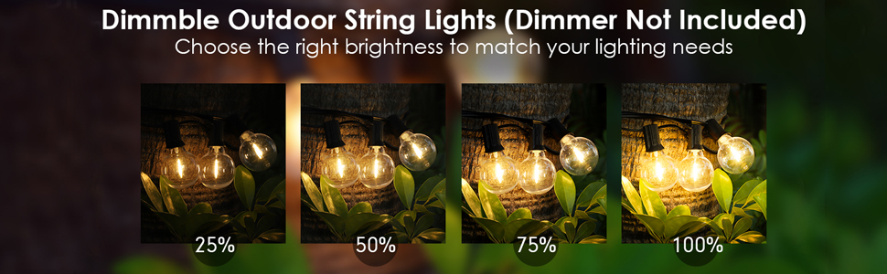 dimmable outdoor string lights