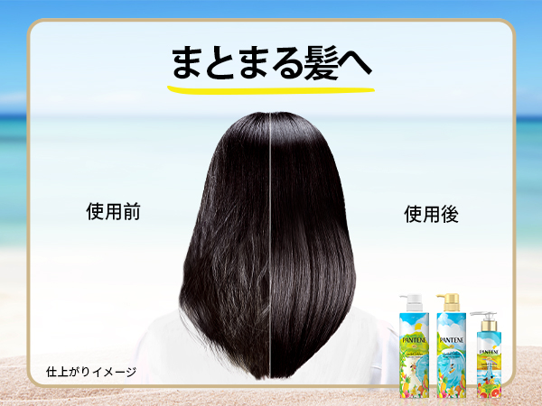 Amazon | パンテーン シャンプー&コンディショナーセット 400g+400g