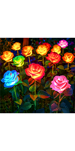 Solar Rose Lights
