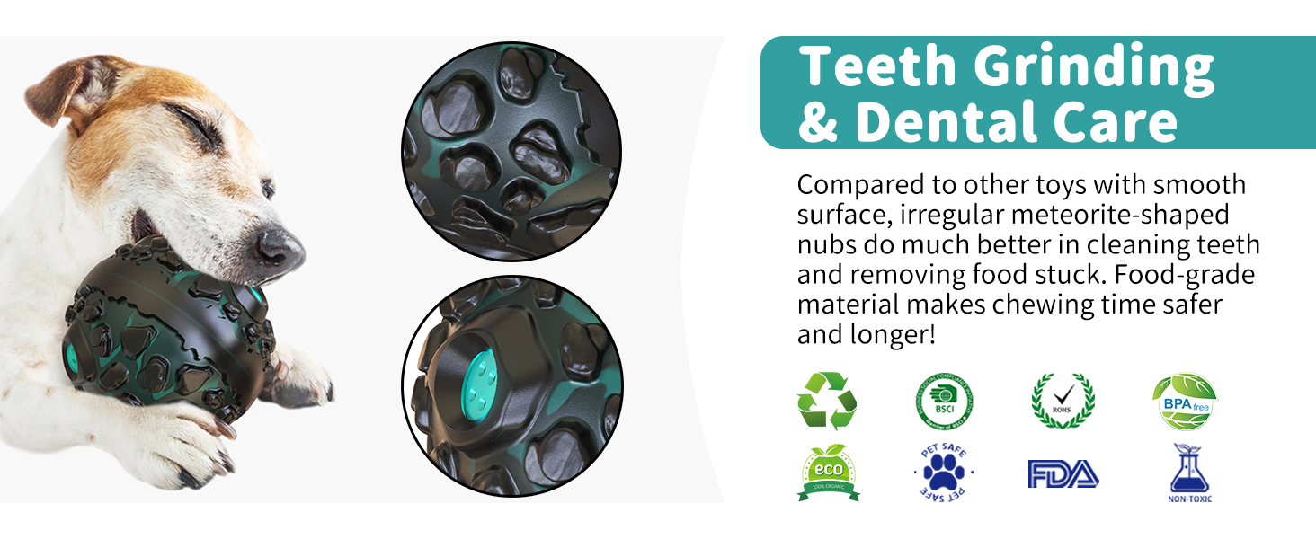 dog chew toy