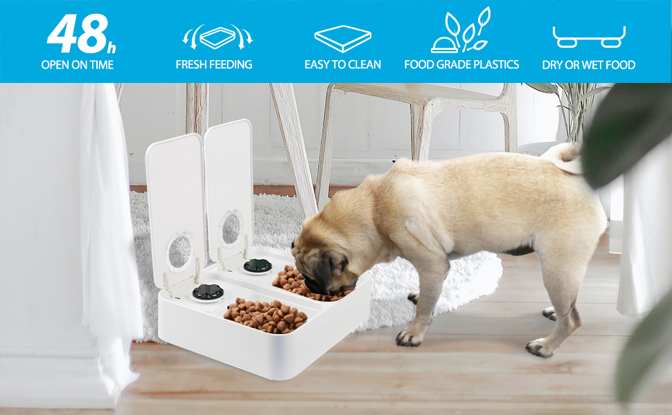 ALL FOR PAWS Automatic Cat Feeder, 2 Meal Automatic Pet Feeder with Ice