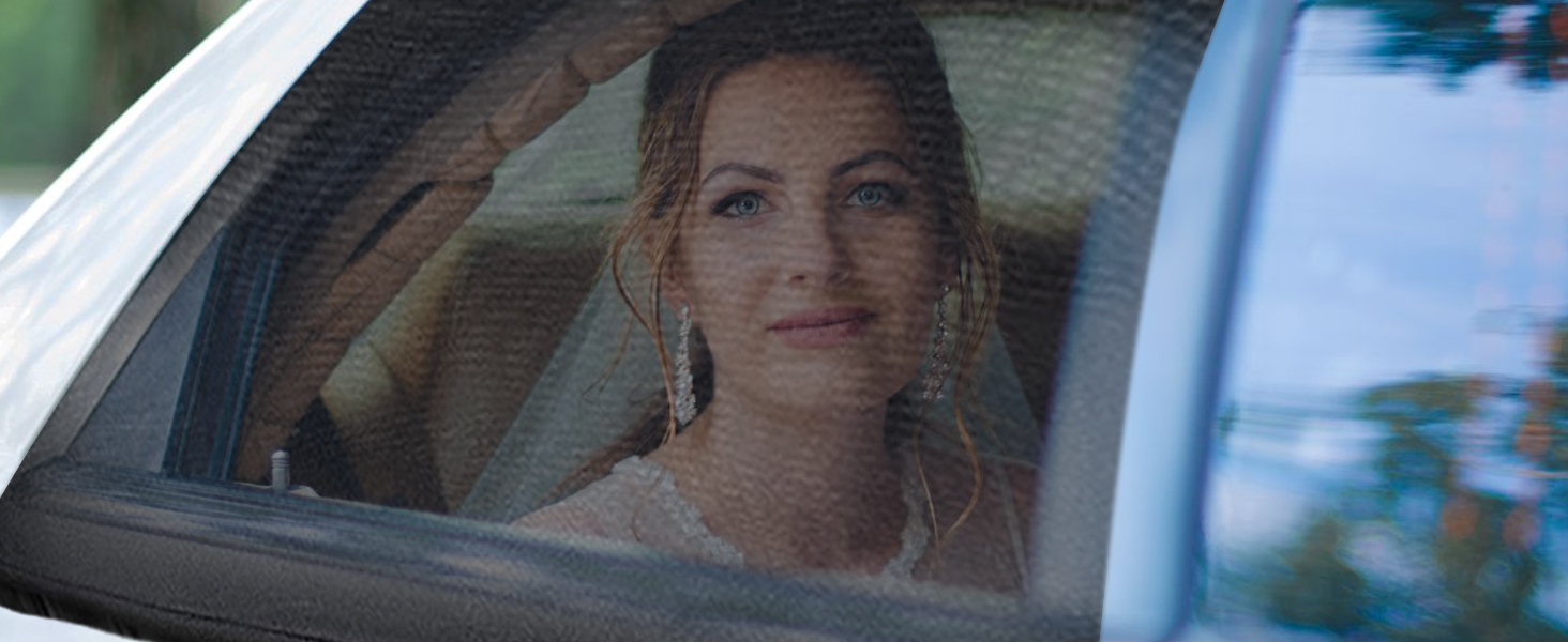 car side window shades
