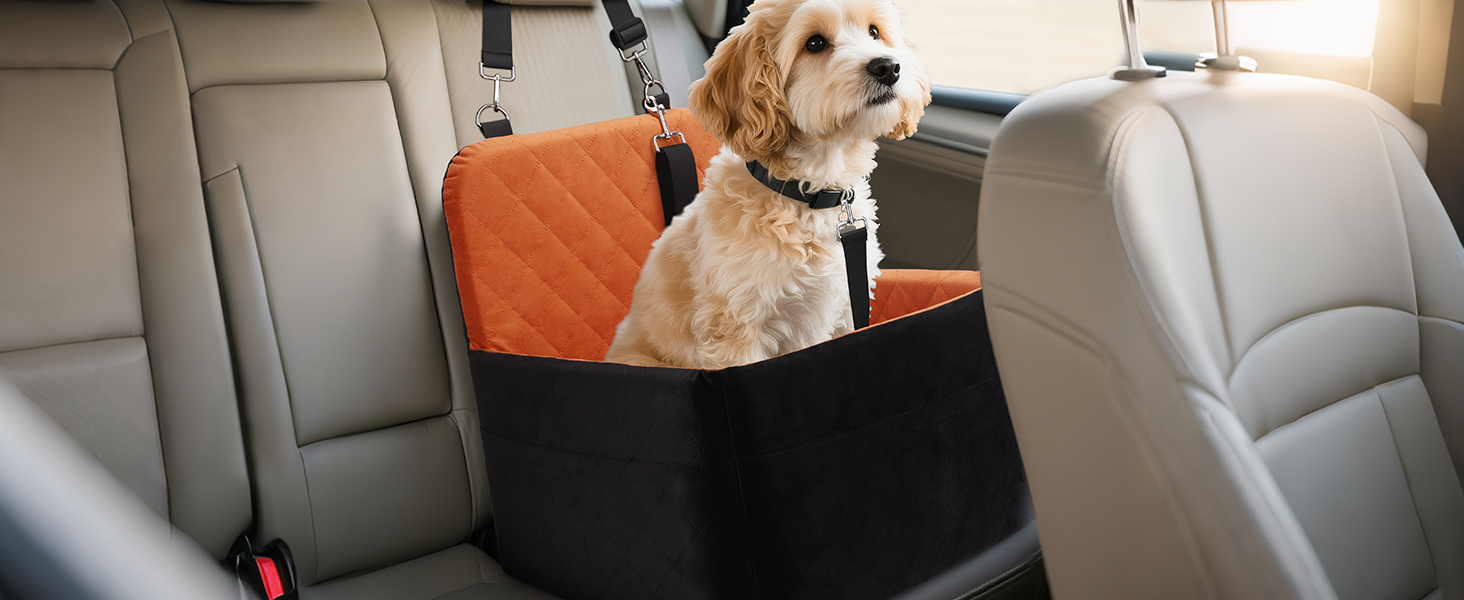 dog car seat medium sized dog