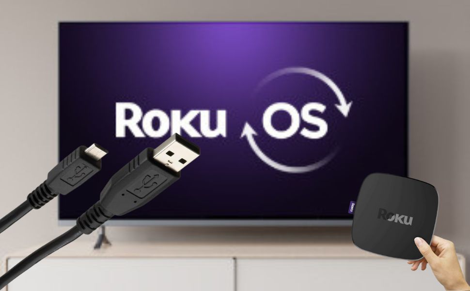 Roku Express Replacement USB Cable USB Type A Male-to-Male