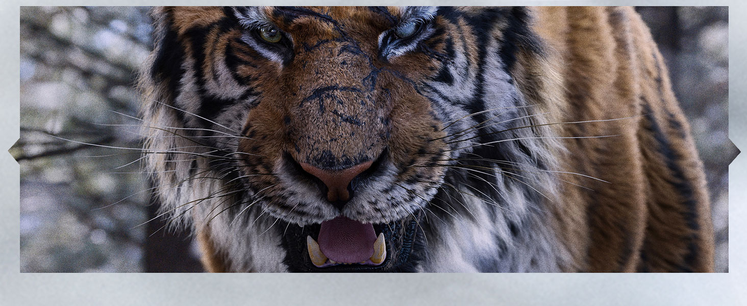 The Tiger Legende Einer Jagd [Bluray] Amazon.de Park Hoonjung, Choi Minsik, Jung Mansik