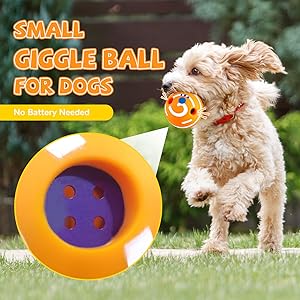 interactive dog ball