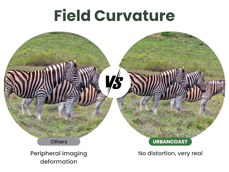 Field Curvature