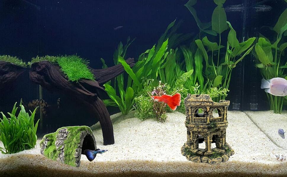 M2cbridge Antique Roman Column Ruins European Castle Aquarium 