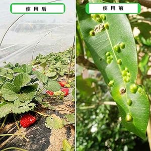ネット　10ｍ×5,4ｍ 3枚 Amazon.co.jp: 防虫ネット 幅2.5m×縦10m 園芸用ネット 野菜栽培