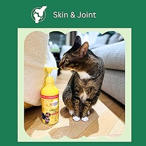 cat food, cat vegan treats, cat omega 3 oil, cat health 