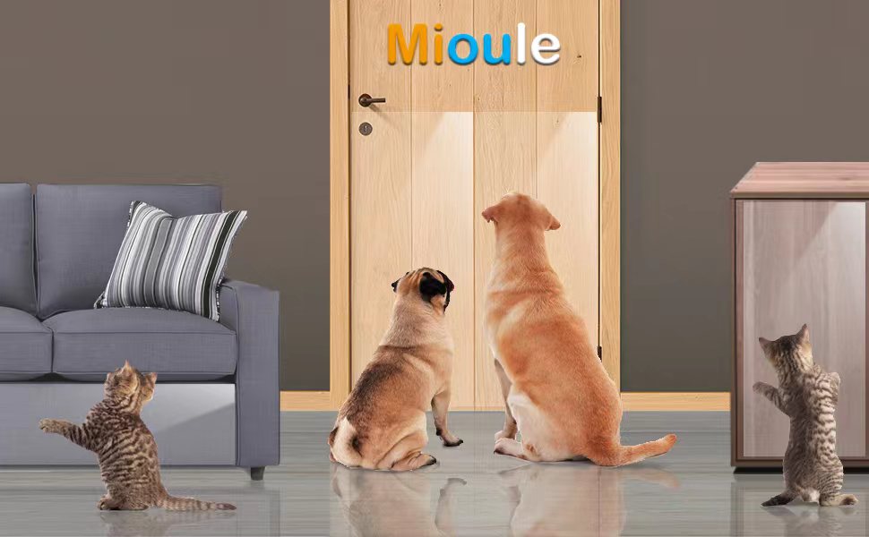 Door Protector from Dog Scratching Dog Scratch Door