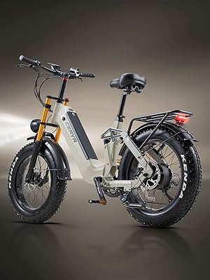 e bike CEAYA Fahrrad 20 Zoll A20 PRO