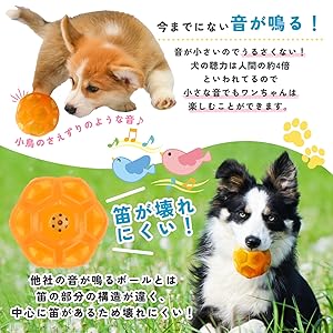 Amazon | 【T.A.L.D.B】犬 ボール 犬おもちゃ 人気 鳴る 小鳥の