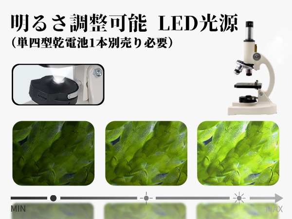 Amazon.co.jp: 顕微鏡 小学生 子供【40X~3200X・標本付き】 日本