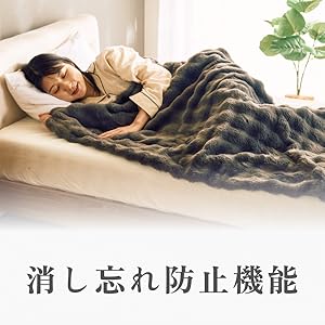 【とろける手ざわり】QUADS 電気毛布 トロン エコ 省エネ  ダニ退治機能 Amazon.co.jp : QUADS(クワッズ) とろける手ざわり 電気毛布