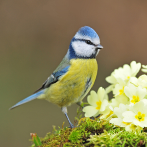 Small manufacture image 11