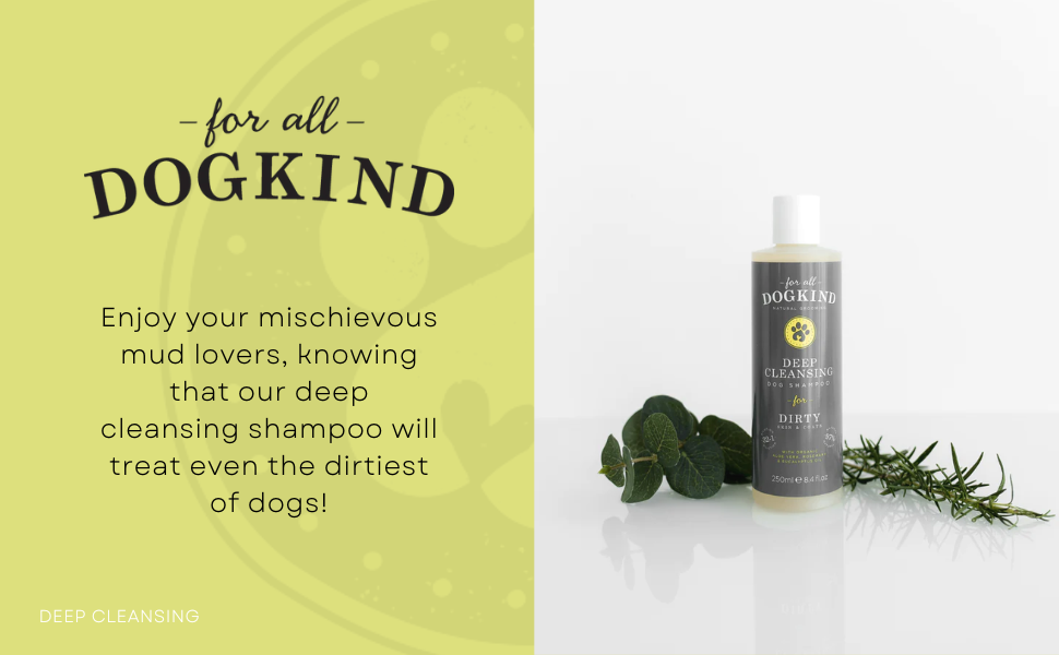 For All DogKind Deep Cleansing Dog Shampoo - Rosemary and Eucalyptus for Dirty Skin and Coats - Ideal for Muddy Adventures, Smelly Fox Poo, & Sensitive Skin - 97% Natural - 32-1 Dilutable - 250ml 10 cleansing