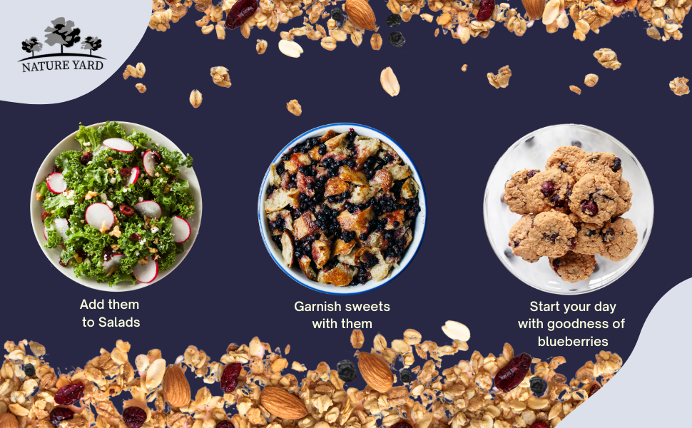 NATURE YARD Blueberry Dry Fruit150 Whole Blueberries (Vegan & Gluten Free Snacks