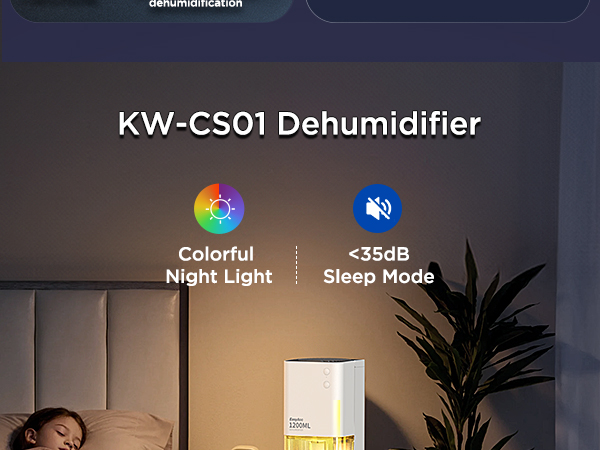 Dehumidifier for Home