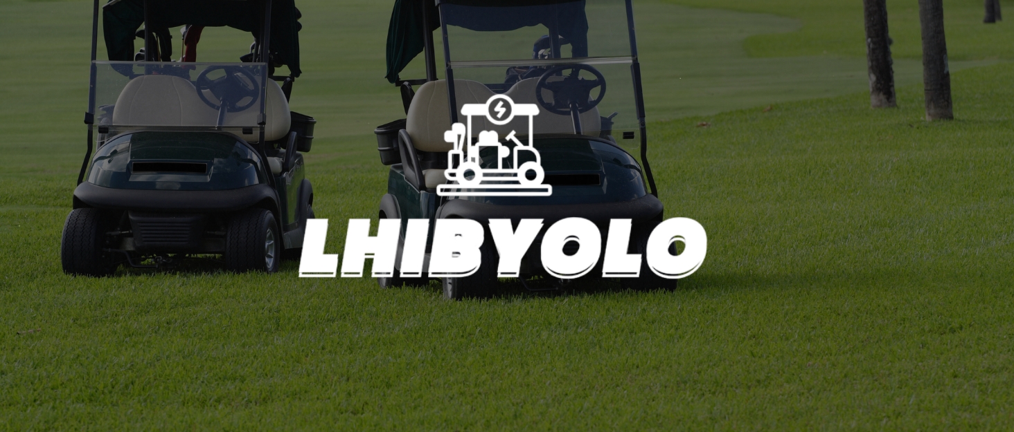 LHINYOLO logo