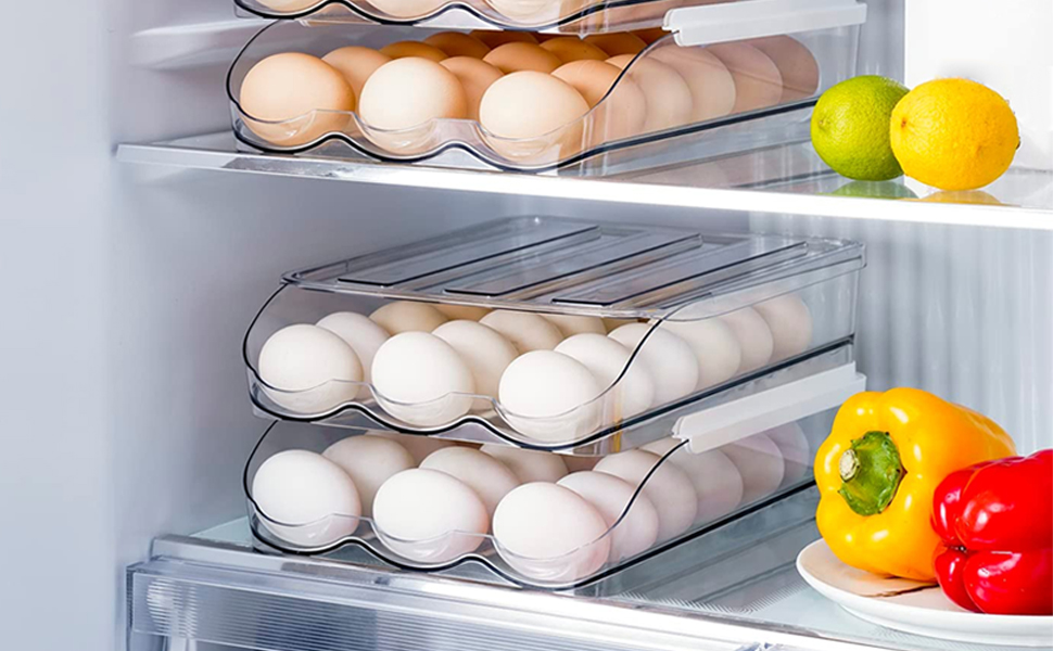 lazywoodpecker Egg Storage for Fridge, Auto Rolling Eggs Fridge