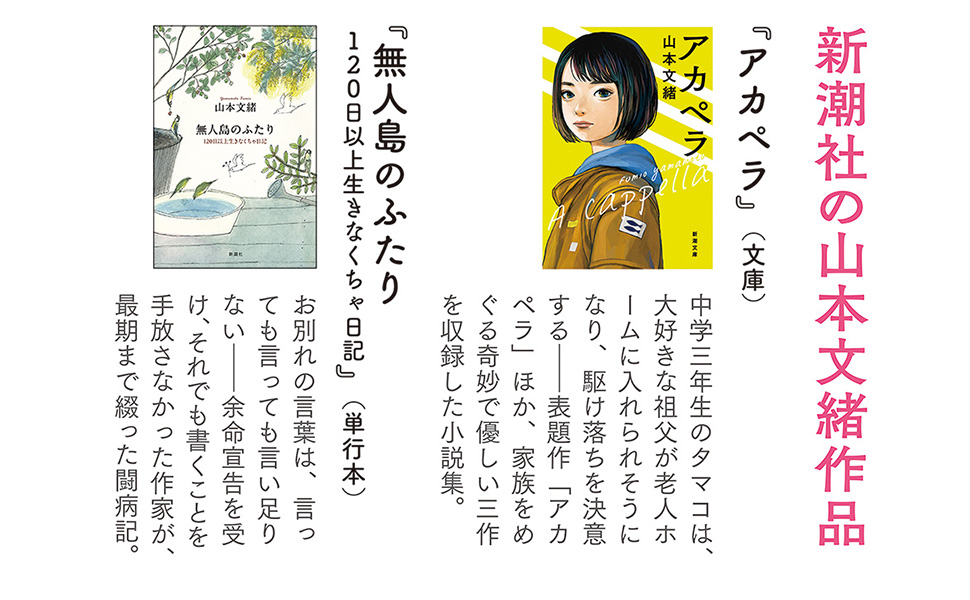 帯裏