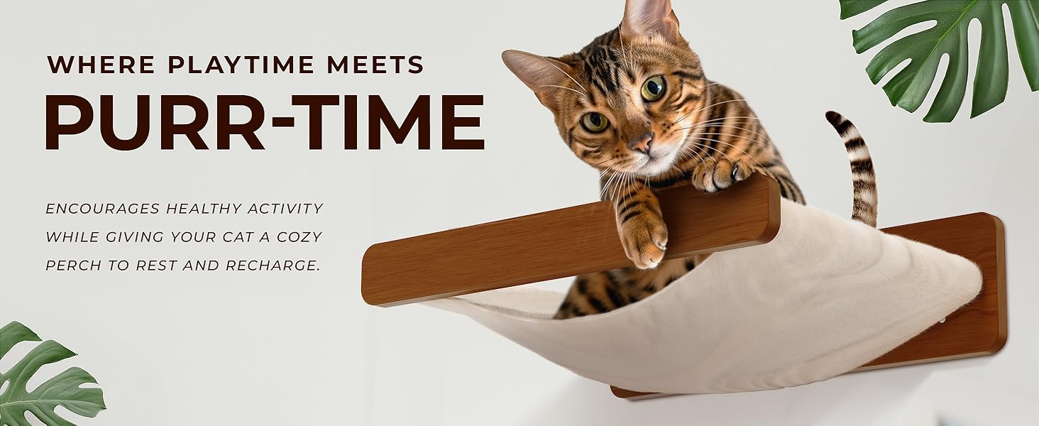 Cat Hammock - Lifestyle Image