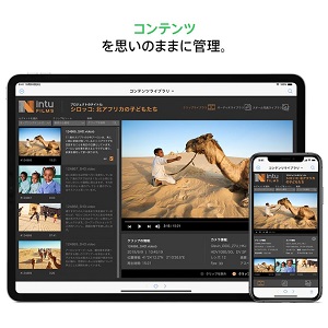 Amazon.co.jp: Claris FileMaker Claris FileMaker Pro 19 : PC