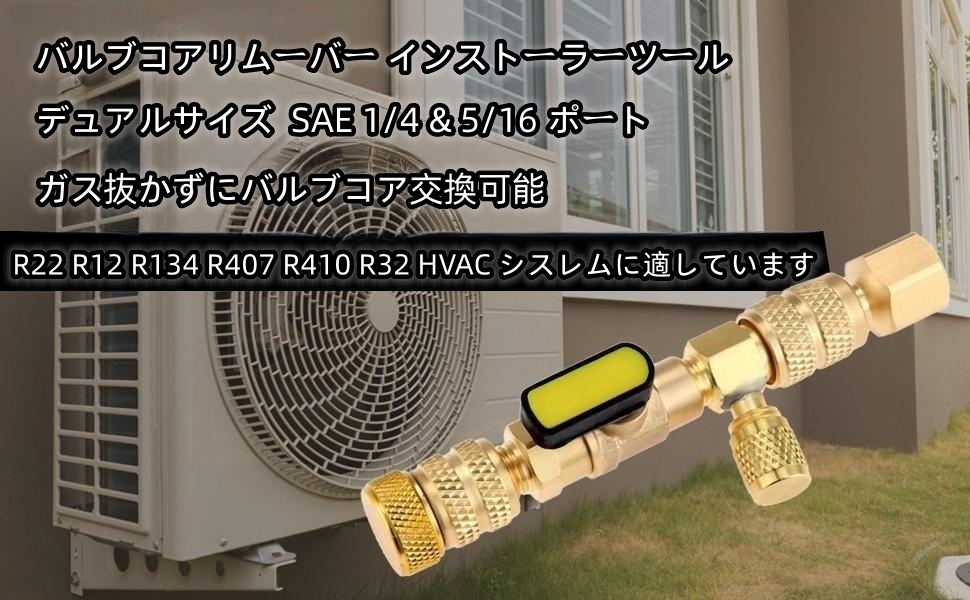 ハルリンドウ　準備中ー★ als-d1s-1.jpg