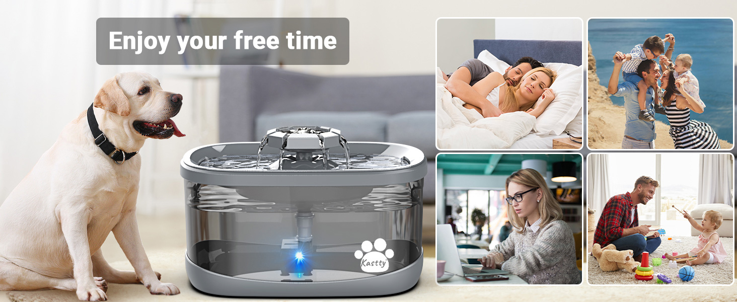 pet fountain