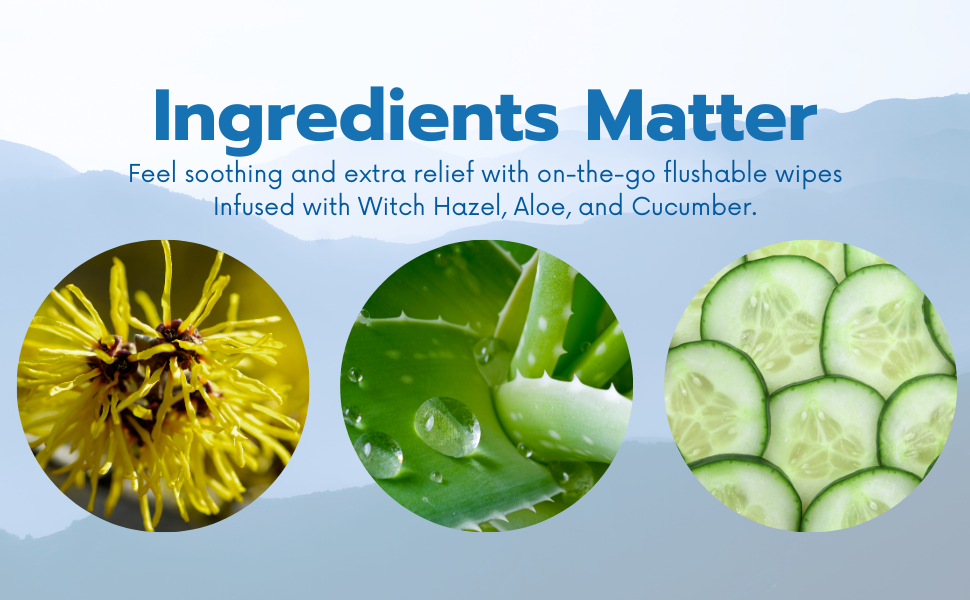 Stall Mates Wipes Witch Hazel Flushable, individually