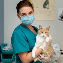 Vet