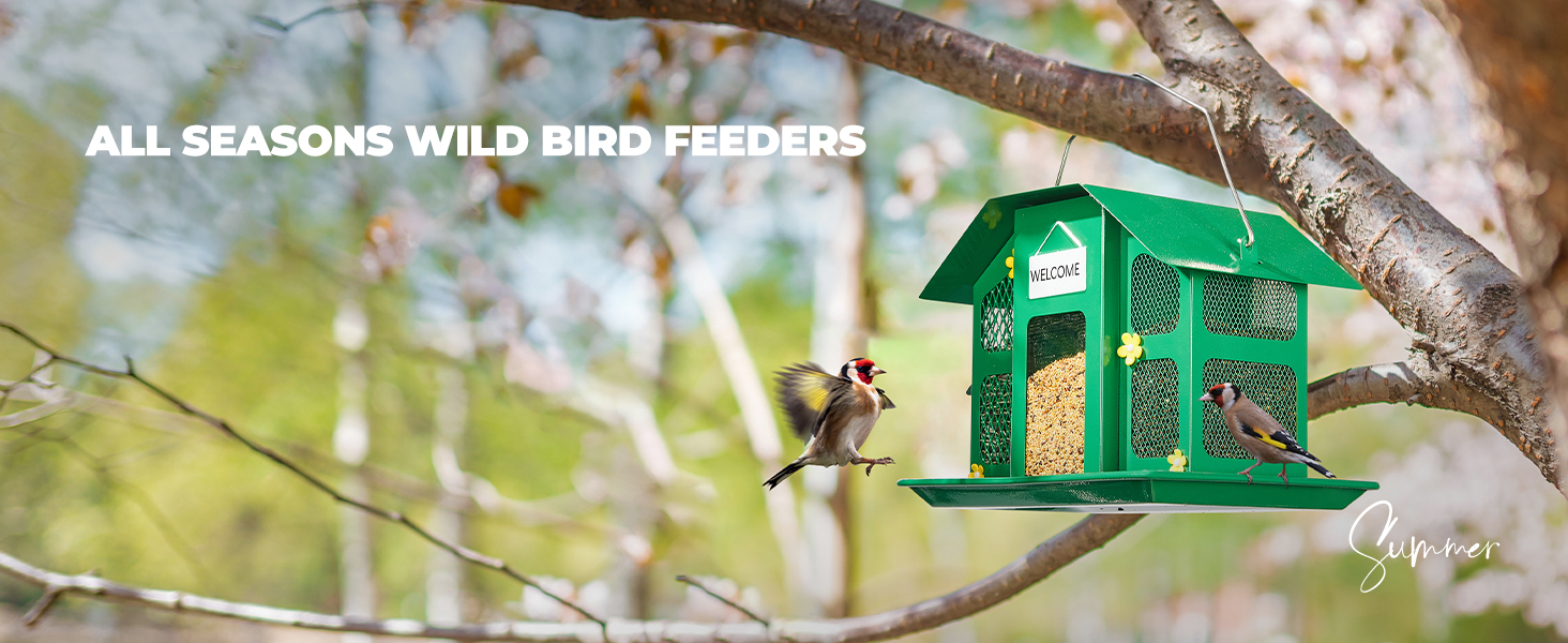 bird feeder