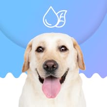 prana pets respiratory system support 