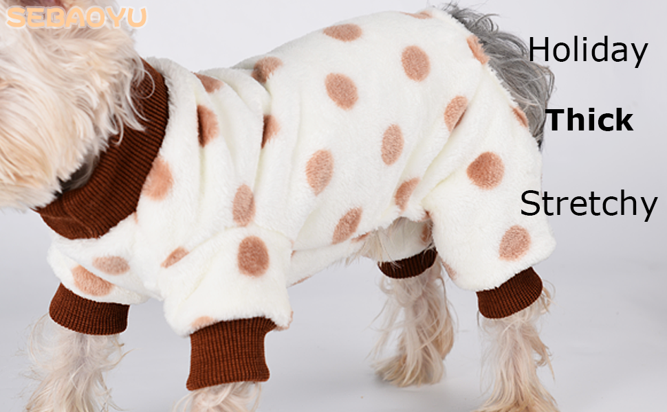 winter dog clothes