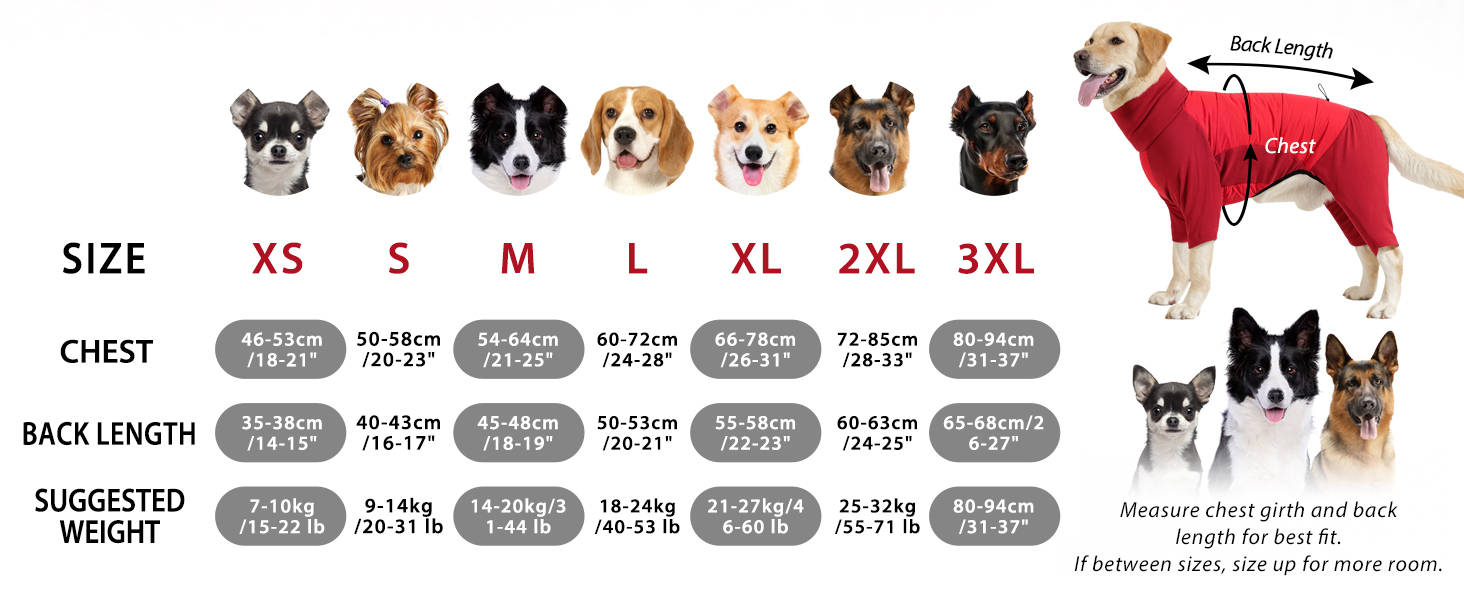 Dotoner Waterproof Dog Coat with Legs Fleece Windproof Winter Dog Jacket with Quilted Back & High Elasticity Chest Legs Warm Onesie Jumper with harness hole for Small Medium Large Canine 11 Size chart showing dog measurements. Text includes 'XS, S, M, L, XL, 2XL, 3XL' with corresponding chest and back length measurements. Icons of different dog breeds shown.