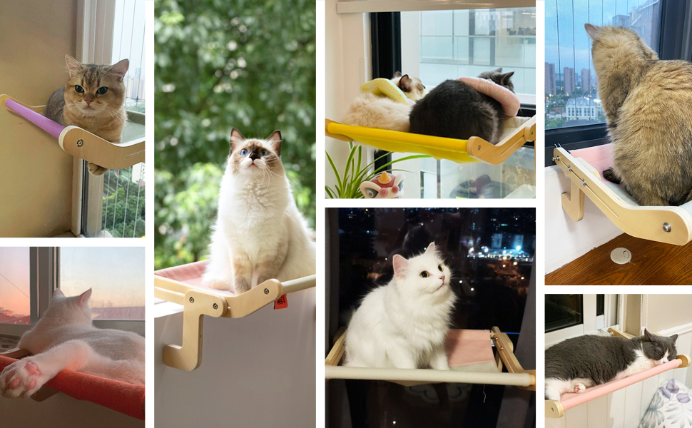 MEWOOFUN Cat Window Perch Cat Hammock Cat Window Seat Bed Adjustable Sturdy Cat Perch NO Suction